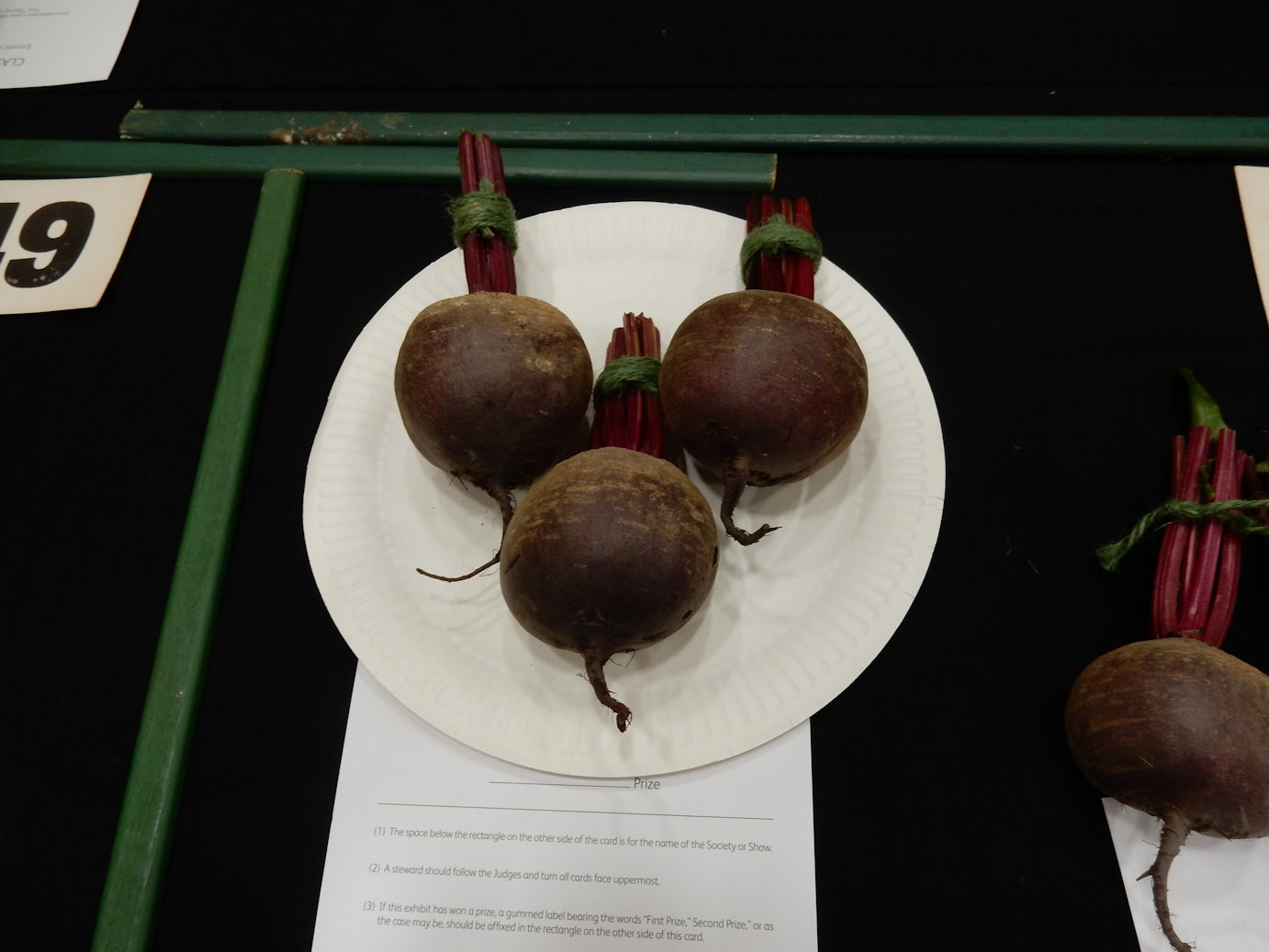Globe Beetroot